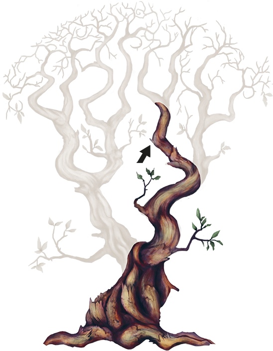 Иллюстрация к книге — Сулажин [i_030.jpg]