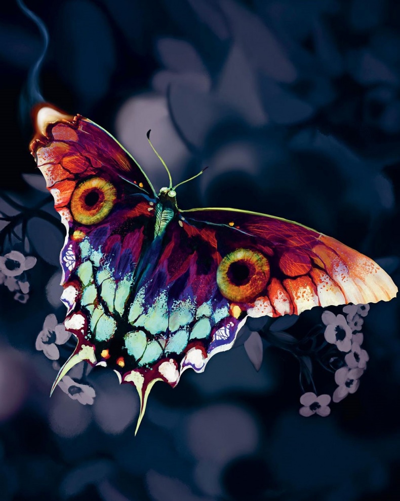 Иллюстрация к книге — Сулажин [i_037.jpg]