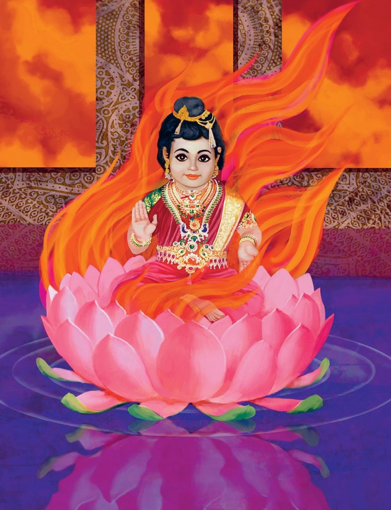 Иллюстрация к книге — Сулажин [i_057.jpg]