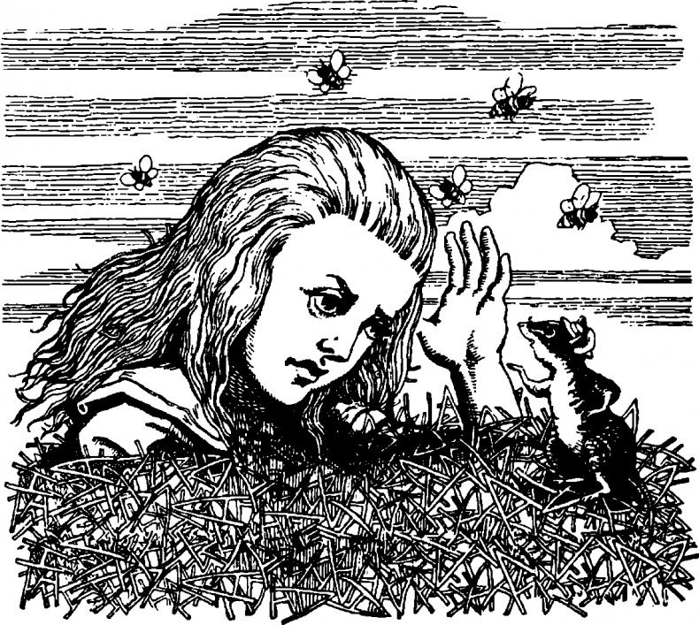 Иллюстрация к книге — Алиса в Заиголье [i_002.jpg]