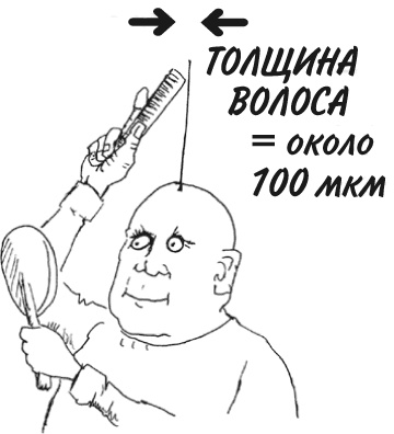 Иллюстрация к книге — Математика для взрослых. Лайфхаки для повседневных вычислений [i_186.jpg]