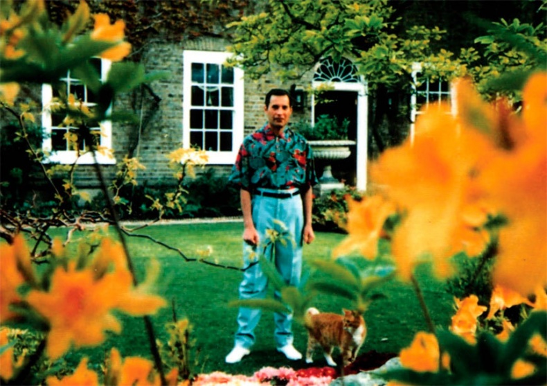 Иллюстрация к книге — Меркьюри и я. Богемская рапсодия, любовь и котики [i_054.jpg]