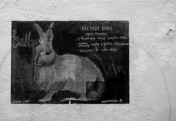 Иллюстрация к книге — Все сказки старого Вильнюса. Продолжение [i_005.jpg]