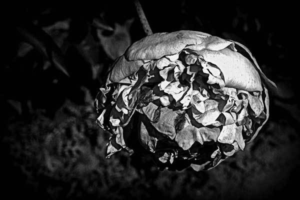 Иллюстрация к книге — Все сказки старого Вильнюса. Продолжение [i_008.jpg]