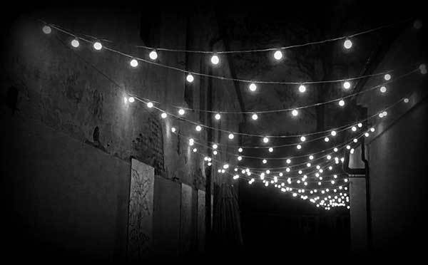 Иллюстрация к книге — Все сказки старого Вильнюса. Продолжение [i_035.jpg]