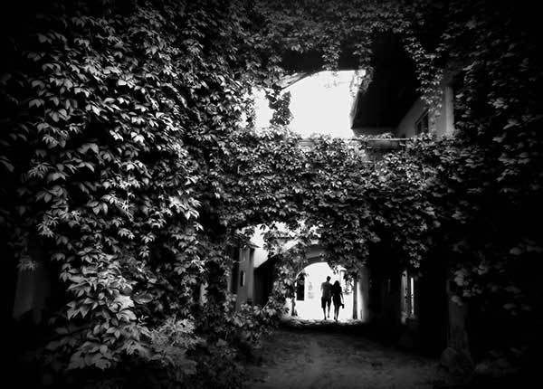 Иллюстрация к книге — Все сказки старого Вильнюса. Продолжение [i_041.jpg]