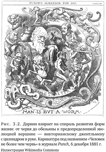 Иллюстрация к книге — Триумф семян [i_011.jpg]