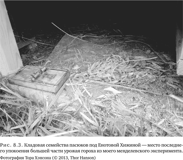 Иллюстрация к книге — Триумф семян [i_023.jpg]