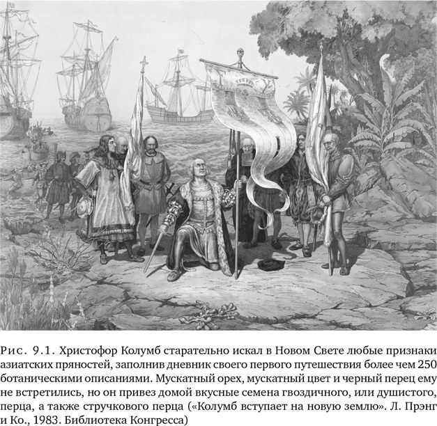 Иллюстрация к книге — Триумф семян [i_025.jpg]