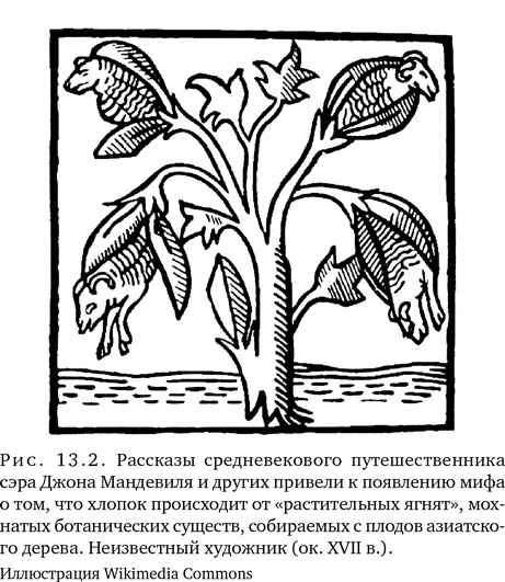 Иллюстрация к книге — Триумф семян [i_033.jpg]
