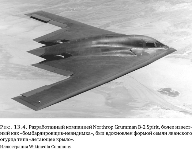 Иллюстрация к книге — Триумф семян [i_035.jpg]