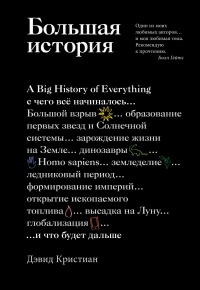 Книга Большая история