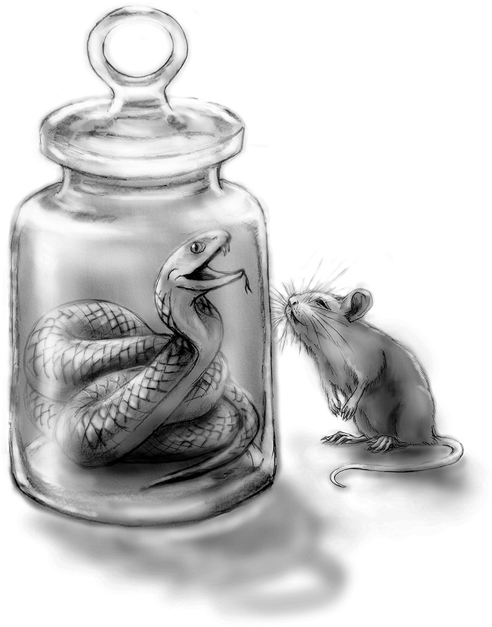 Иллюстрация к книге — Пять невест ректора  [i_002.jpg]