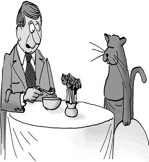 Иллюстрация к книге — Ассертивность. Высказаться. Сказать «нет». Установить границы. Получить контроль [i_024.jpg]