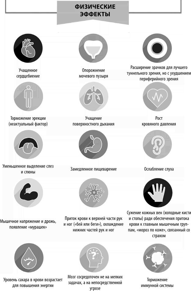 Иллюстрация к книге — Полюби свой мозг [i_004.jpg]