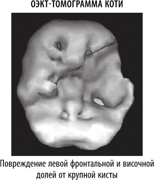 Иллюстрация к книге — Полюби свой мозг [i_051.jpg]