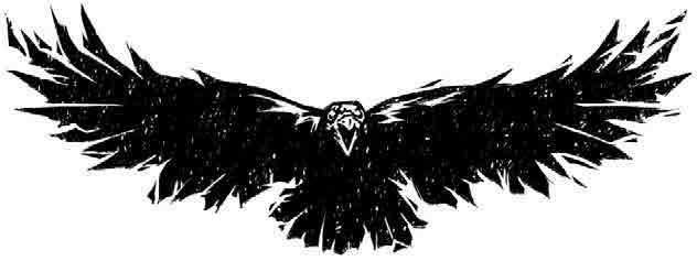 Иллюстрация к книге — Спасти Феникса [i_003.jpg]