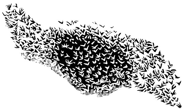 Иллюстрация к книге — Лира Белаква [i_036.jpg]