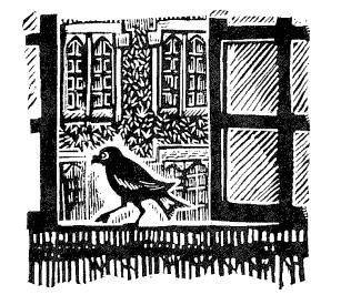 Иллюстрация к книге — Лира Белаква [i_039.jpg]