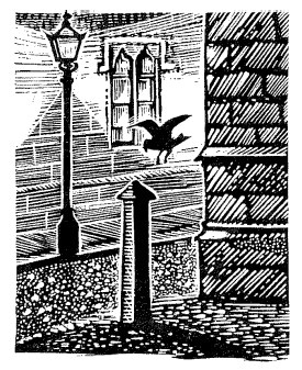 Иллюстрация к книге — Лира Белаква [i_040.jpg]