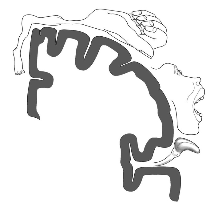 Иллюстрация к книге — Мозговой штурм. Детективные истории из мира неврологии [i_004.jpg]