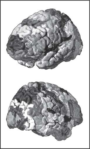 Иллюстрация к книге — Мозг. Как он устроен и что с ним делать [i_038.jpg]