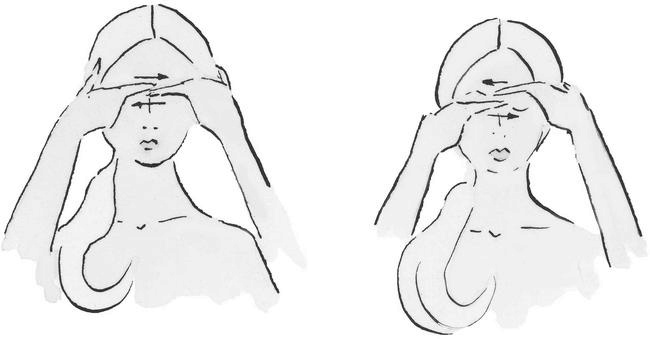 Иллюстрация к книге — Возраст красоты [i_003.jpg]