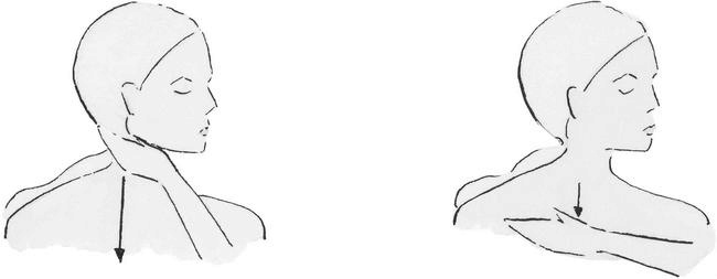 Иллюстрация к книге — Возраст красоты [i_006.jpg]