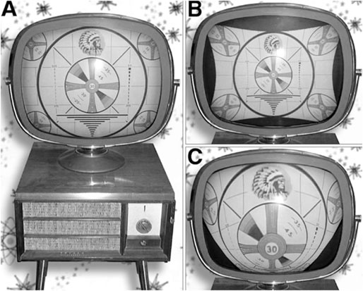 Иллюстрация к книге — Биология веры. Как сила убеждений может изменить ваше тело и разум [i_012.jpg]