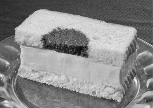 Иллюстрация к книге — Биология веры. Как сила убеждений может изменить ваше тело и разум [i_016.jpg]