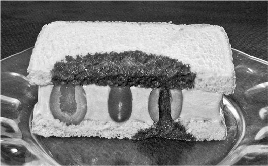 Иллюстрация к книге — Биология веры. Как сила убеждений может изменить ваше тело и разум [i_018.jpg]