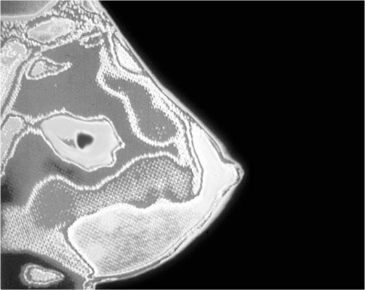 Иллюстрация к книге — Биология веры. Как сила убеждений может изменить ваше тело и разум [i_024.jpg]