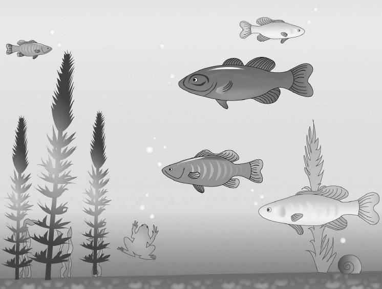 Иллюстрация к книге — Карта культурных различий [i_014.jpg]