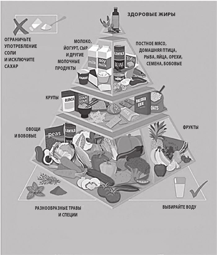 Иллюстрация к книге — Доказательная медицина. Чек-лист здорового человека, или Что делать, пока ничего не болит [i_022.jpg]
