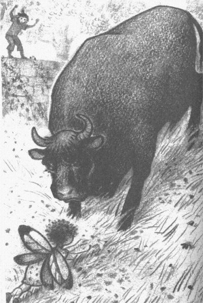 Иллюстрация к книге — Пендервики [berds0016.jpg]