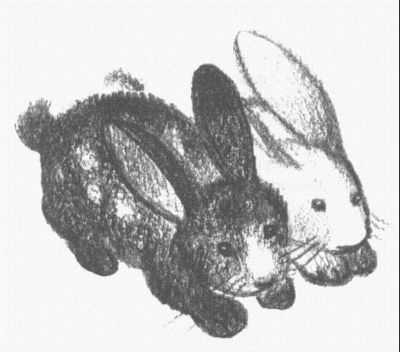 Иллюстрация к книге — Пендервики [berds0018.jpg]