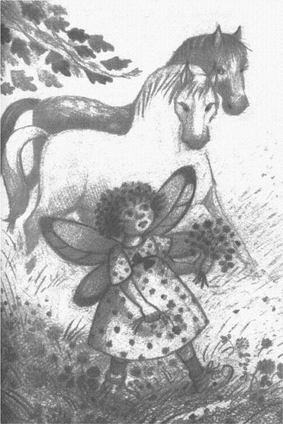 Иллюстрация к книге — Пендервики [berds0032.jpg]