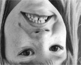 Иллюстрация к книге — Так полон или пуст? [i_002.jpg]