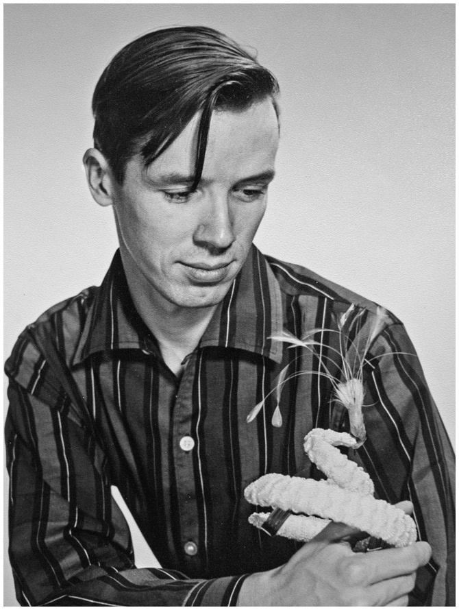 Иллюстрация к книге — Модное восхождение [i_004.jpg]