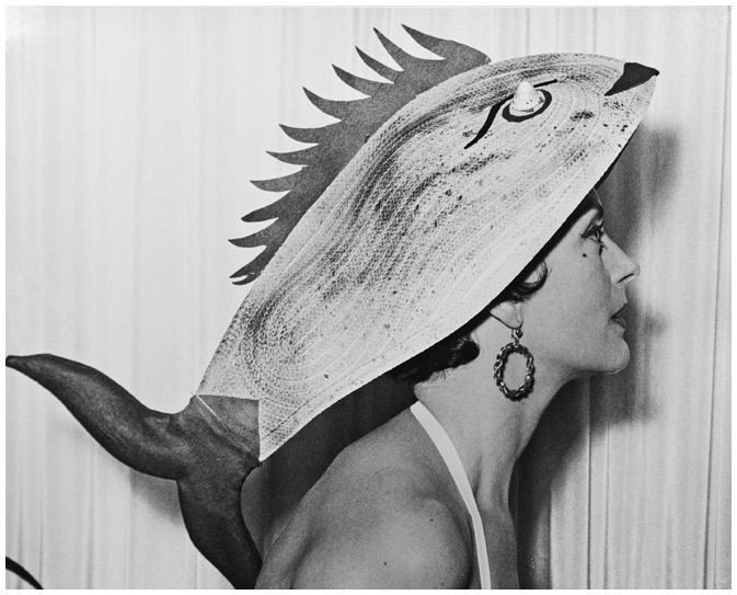 Иллюстрация к книге — Модное восхождение [i_019.jpg]