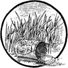 Иллюстрация к книге — Наш принцип [i_023.jpg]