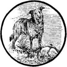 Иллюстрация к книге — Наш принцип [i_030.jpg]