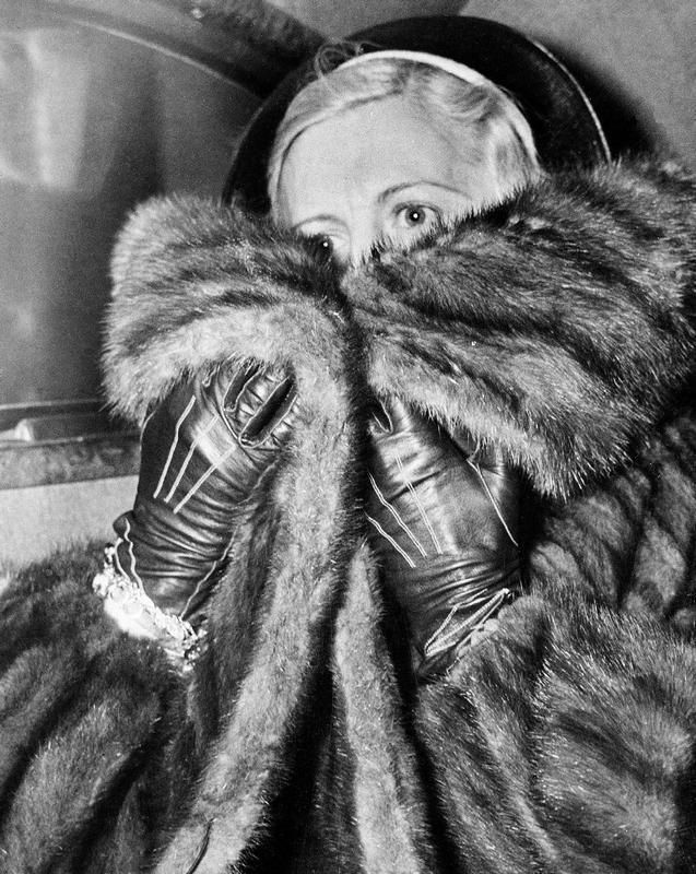 Иллюстрация к книге — Мистер Капоне [i_018.jpg]