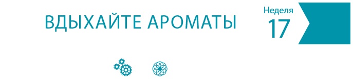 Иллюстрация к книге — Одна привычка в неделю для всей семьи [i_022.jpg]