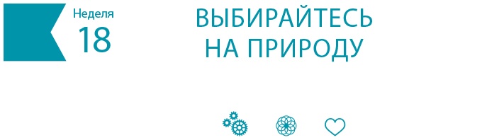Иллюстрация к книге — Одна привычка в неделю для всей семьи [i_024.jpg]