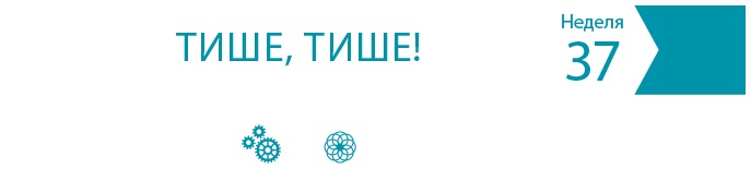 Иллюстрация к книге — Одна привычка в неделю для всей семьи [i_052.jpg]