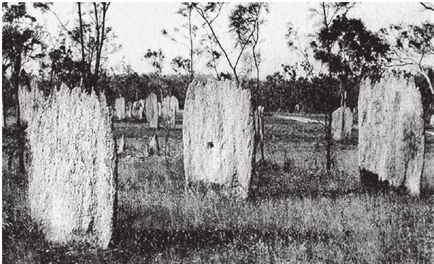 Иллюстрация к книге — Восхождение на гору Невероятности [i_009.jpg]