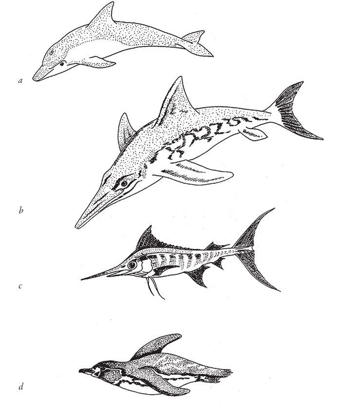 Иллюстрация к книге — Восхождение на гору Невероятности [i_011.jpg]