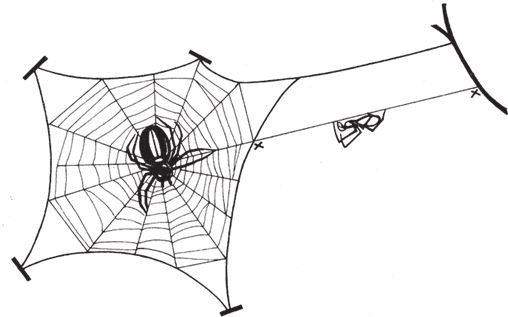 Иллюстрация к книге — Восхождение на гору Невероятности [i_022.jpg]