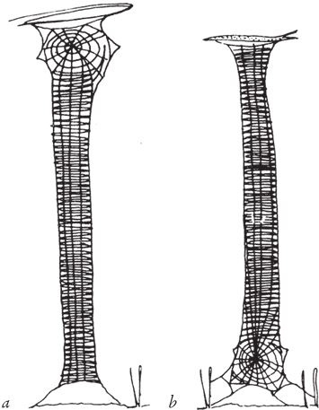 Иллюстрация к книге — Восхождение на гору Невероятности [i_024.jpg]